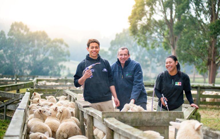 Study Abroad Destination Factors